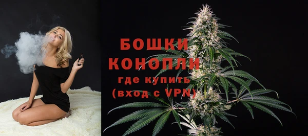 метадон Краснослободск