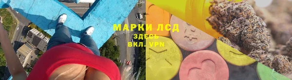 PSILOCYBIN Краснотурьинск