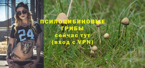 PSILOCYBIN Краснотурьинск