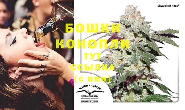 PSILOCYBIN Краснотурьинск