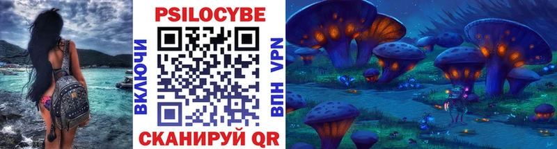 Купить  Княгинино  Псилоцибиновые грибы Psilocybine cubensis 